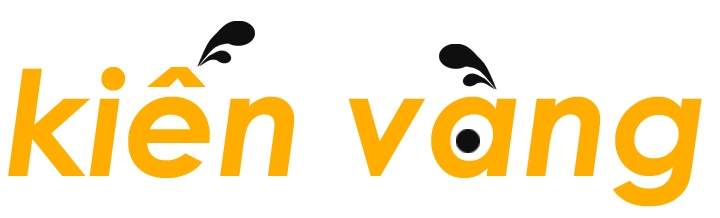 Kiến Vàng Hà Nội
